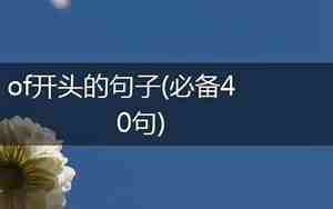 会开头的句子
