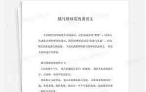 描写说明文的句子