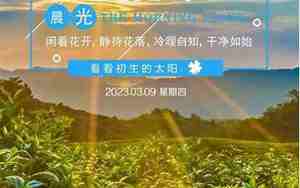 形容生活美好一天的句子