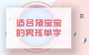 男猪宝宝名字单字