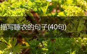 描述睡衣的句子