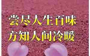 表示心情的经典句子