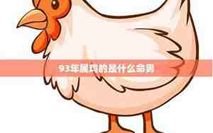 1993年属鸡的是什么命