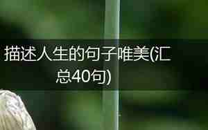描述冷天句子