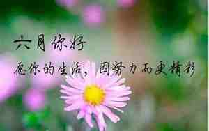 赞美六月婚庆的词