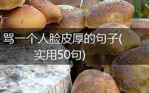 描述人脸皮厚的句子