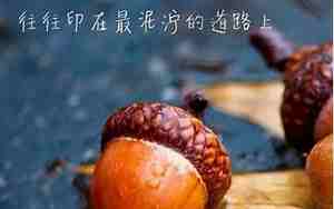 希望能相聚的句子