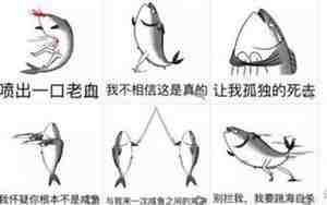 咸鱼是什么意思