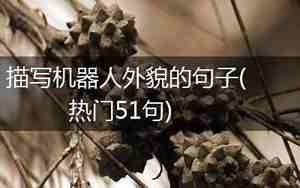 描写机器人的句子