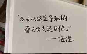 赞美爱一个人的句子