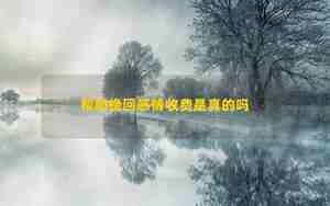 收费感情导师都是真的么