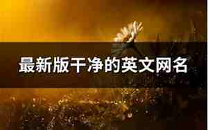 一个字英文网名