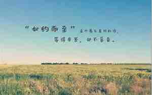 享受生活的唯美句子