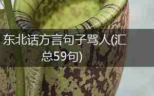 东北骂人句子