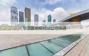 华润置地是国企吗