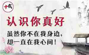认识你真好的句子爱情