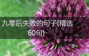 表示计划失败的句子