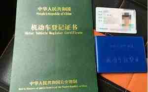 绿本是什么
