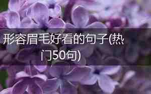 形容眉毛粗的搞笑句子