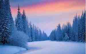 snowy的意思