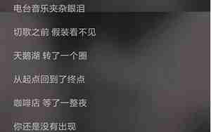 抖音神曲超好听的歌词
