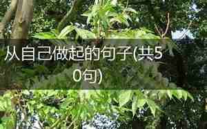 从自己做起的句子