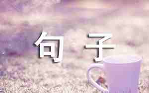 人物描写的句子60
