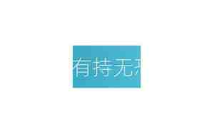 有持无恐的句子