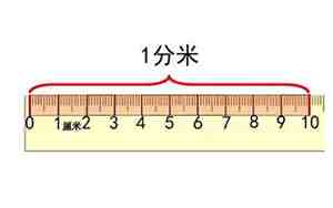 9米等于多少分米
