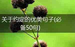 守着一个约定的句子