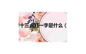 十三点打一字