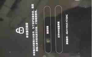 小米id是什么