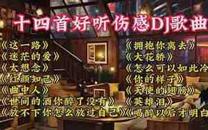 好听dj的歌曲大全