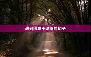 遇到困难怎么句子
