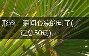 关于心凉的句子
