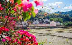 大埔旅游景点