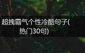 冷酷言情句子