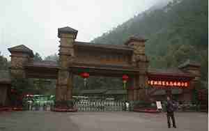 姑婆山旅游景点介绍