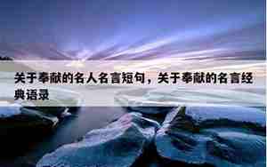 关于奉献的词语和句子
