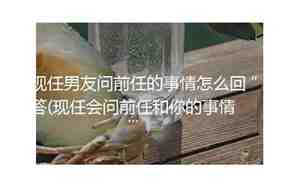 怎么让男友的前任死心