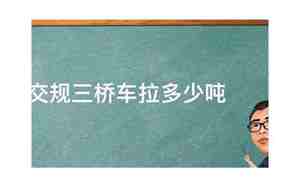 三桥车限载多少吨