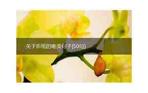 关于折纸的唯美句子