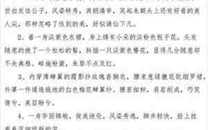 描绘衣服的句子