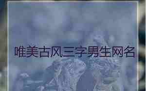 好听的古风名字上官男