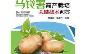 马铃薯高产栽培技术