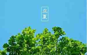 带有夏日清凉的句子