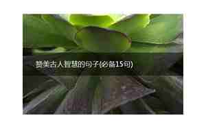 赞美古人智慧的句子