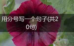 用分号写句子