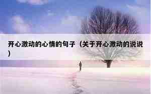高兴激动的句子
