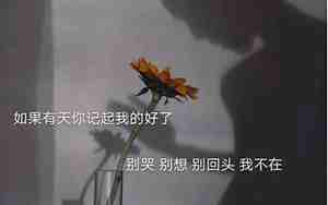 寒心的句子说说心情图片